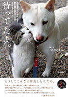 北海道犬ナナちゃんと野良猫ヒロちゃんの早朝ものがたり｢待ってたよ。｣		