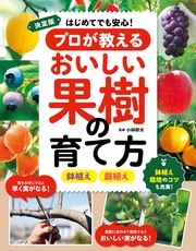 サンプル
